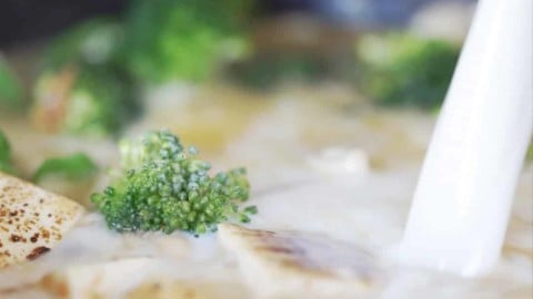 野菇味噌豆乳鍋作法7